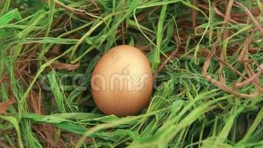 草地上的金色复活节彩蛋